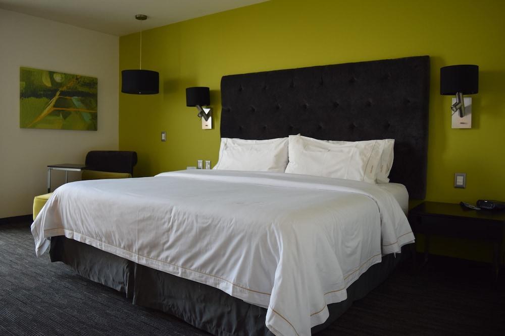 Holiday Inn Express Toluca Galerias Metepec By Ihg Kültér fotó
